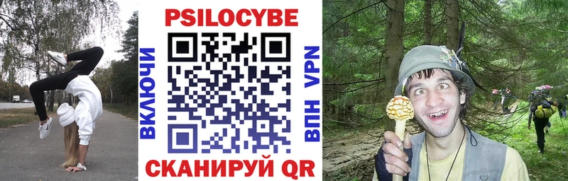 цены   Малгобек  Псилоцибиновые грибы MAGIC MUSHROOMS 