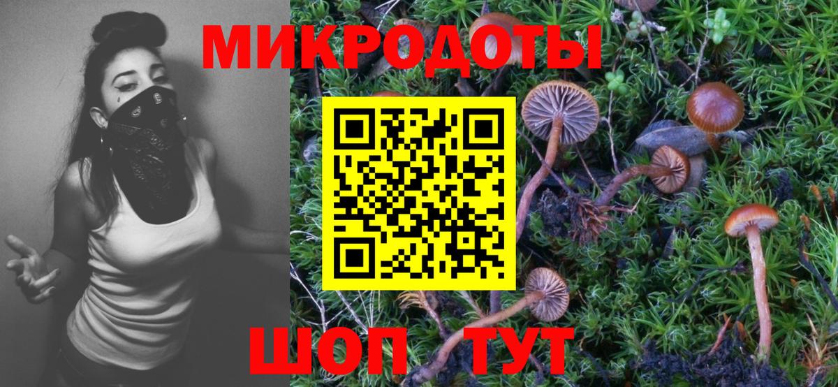 Малгобек  Галлюциногенные грибы Psilocybe  Вход с VPN 